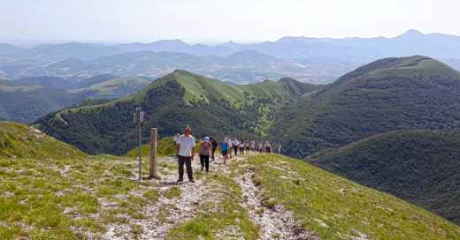 passeggiata del donatore